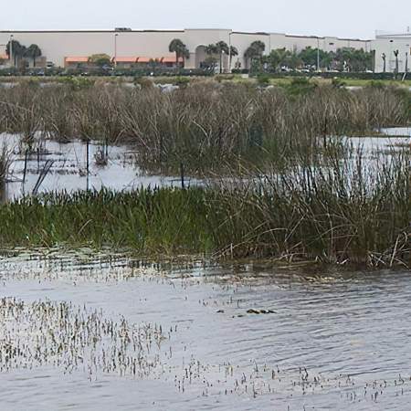 [caption: Wetlands</br / />Compliance] Wetlands Compliance