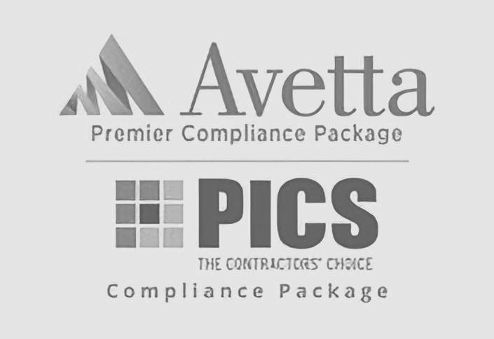 Logo_AvettaPics