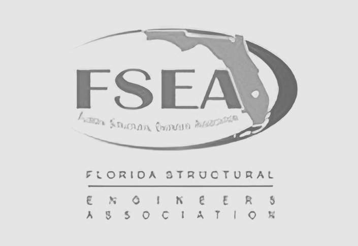 Logo_FSEA